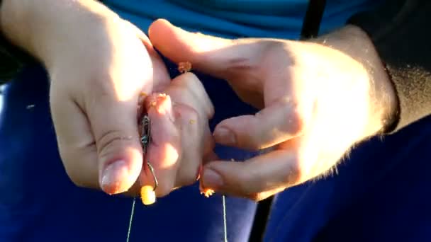 Hände der Fischer bereiten Köder für Fische zu. — Stockvideo