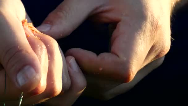 4k - Les mains des pêcheurs préparent l'appât pour le poisson . — Video