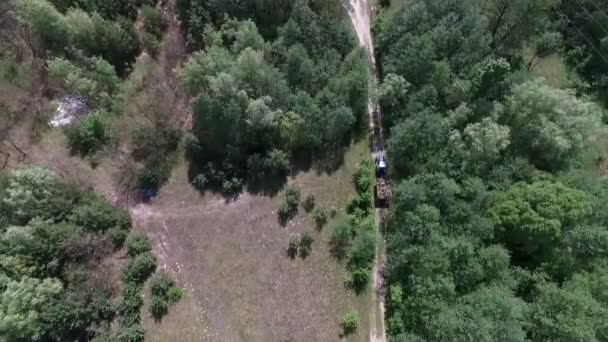 Un tractor con un remolque de leña está conduciendo por el camino forestal — Vídeos de Stock