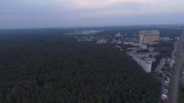 Vista aérea de un bosque de pinos en los suburbios de una ciudad — Vídeos de Stock