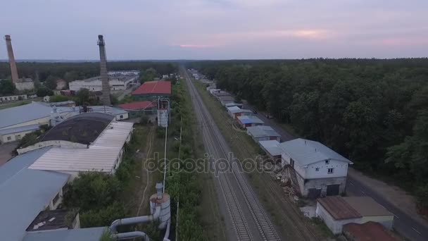 Foto aérea de un ferrocarril que se extiende a lo largo de un bosque de pinos altos en otoño — Vídeos de Stock