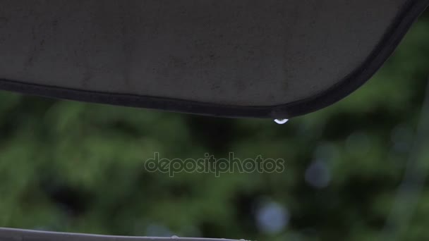 Una gota de agua que cae de una visera de parabrisas en un parque en otoño — Vídeo de stock