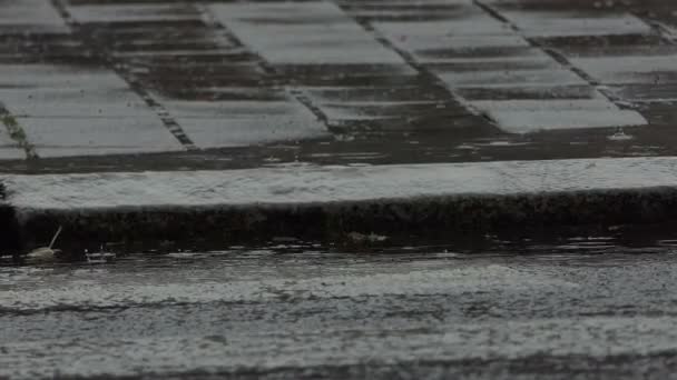 Eine Wasserpfütze auf einem Asphaltpflaster bei regnerischem Wetter in Zeitlupe — Stockvideo