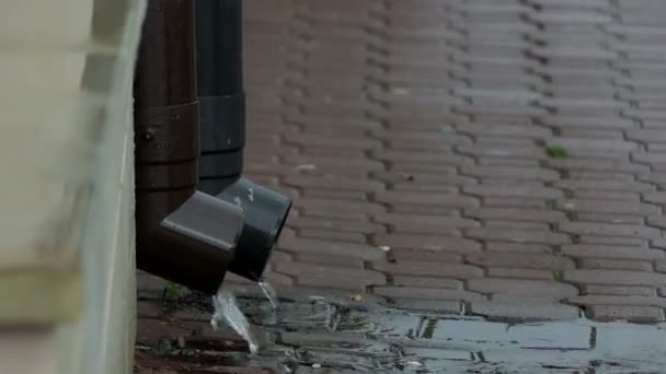 Dos tuberías de drenaje de lluvia en un clima lluvioso en un edificio en otoño — Vídeos de Stock