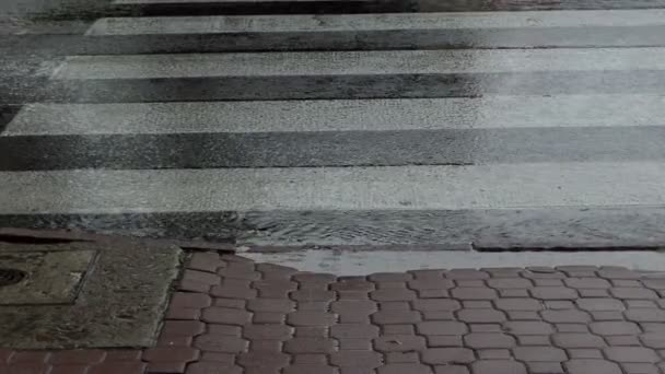 Een zwart-witprinter zebrapad in een regenachtig weer in de herfst — Stockvideo