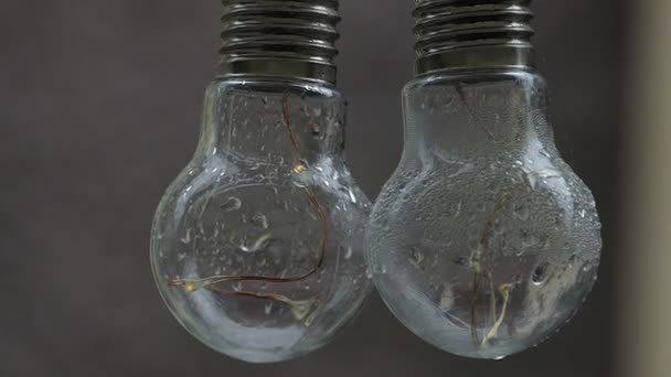Dos bombillas están al aire libre en una calle en un clima lluvioso — Vídeos de Stock