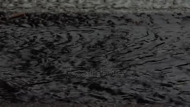 Poças de água de rua cinza sob as gotas de uma chuva forte no verão — Vídeo de Stock