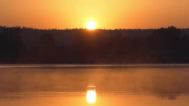 Лісове озеро з невеликим туман, воді гладка, блискучі поверхні, на заході сонця — стокове відео