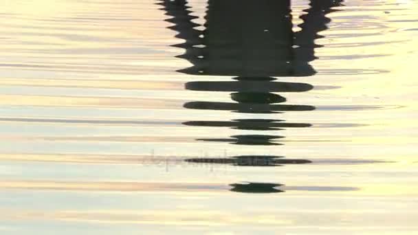 Reflexão de um jovem é visto em águas do lago em um pôr do sol esplêndido — Vídeo de Stock