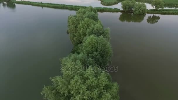 물에 나무의 라인 Dnipro 강 강어귀의 공중 탄 — 비디오