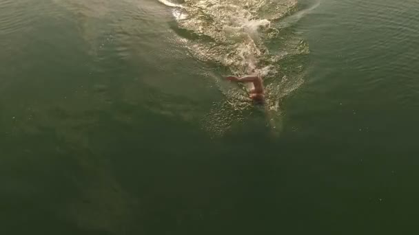 Tiro aéreo de um jovem nadador em um lago ao pôr do sol — Vídeo de Stock