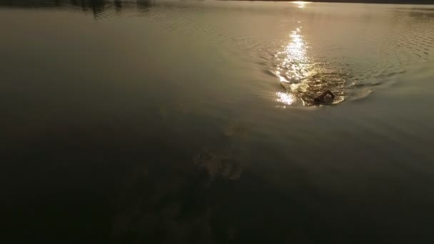 Tiro aéreo de um lago pitoresco e um homem nadando rastejar ao pôr do sol — Vídeo de Stock