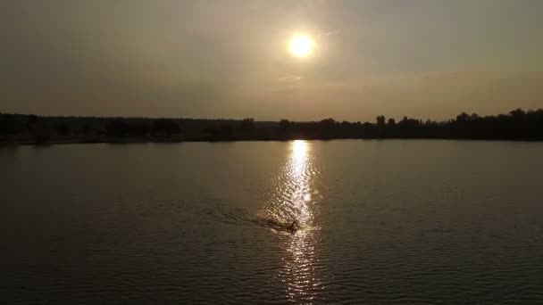 Um pôr-do-sol esplêndido numa margem do lago. Um homem nada em águas escuras. . — Vídeo de Stock