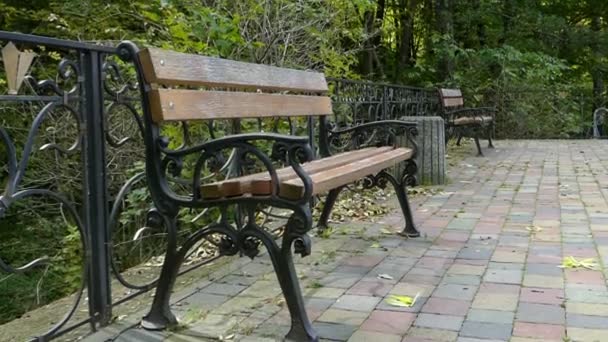 Осенью в парке размещается скамейка из дерева и кованого металла — стоковое видео
