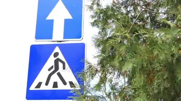 Twee verkeersborden worden gezien in de buurt van een boom. De hoofdweg en een kruising. — Stockvideo