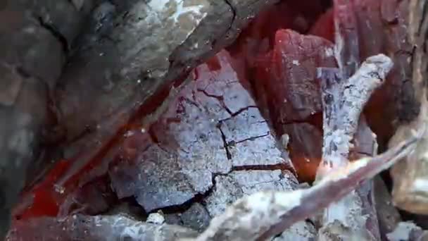 Yanan üzerinde kırmızı, sarı ve turuncu alev içinde slo-mo bir mangal kömürü — Stok video