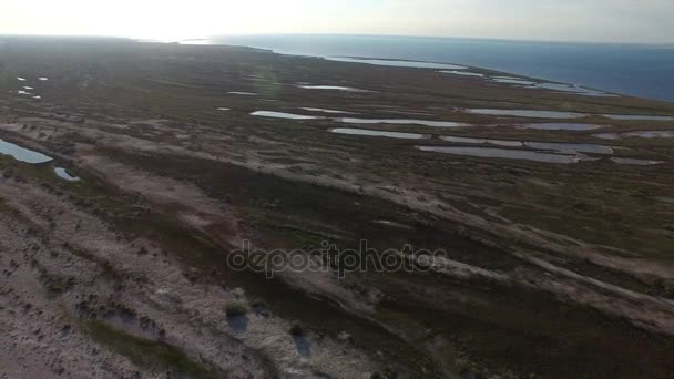 Luftaufnahme der Insel Dscharylhach Sandstrand mit kleinen Teichen im Sommer — Stockvideo