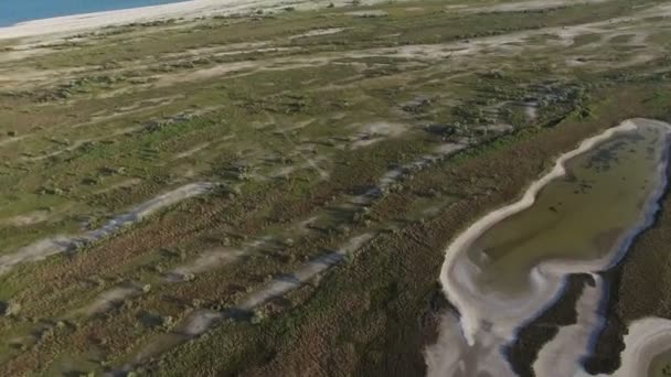 Foto aérea de una costa cubierta con parches de humedales y algunas líneas — Vídeo de stock