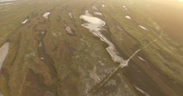 緑と茶色の湿地とプールの黒海沿岸の空中ショット — ストック動画