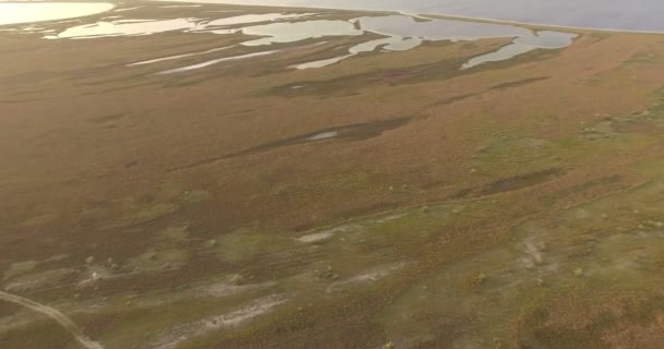 4k aérien La côte de la mer Noire avec des mauvaises herbes vertes et brunes et des piscines — Video
