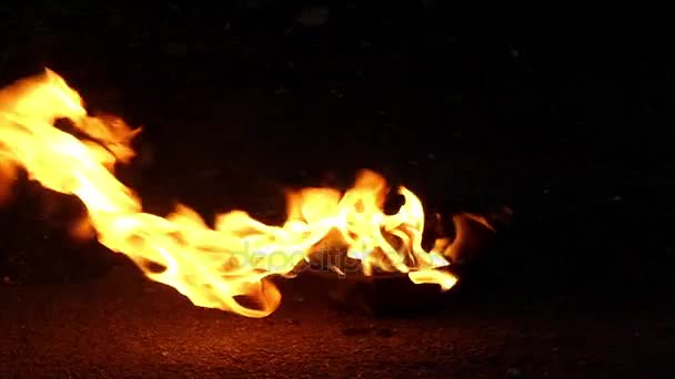 Eine funkelnde Flamme aus einem Feuer, das in einer Schüssel in einem Wald tief in der Nacht in slo-mo entzündet wurde — Stockvideo