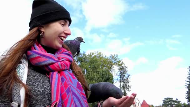 Uma jovem mulher alimenta pombas de suas mãos em slo-mo — Vídeo de Stock