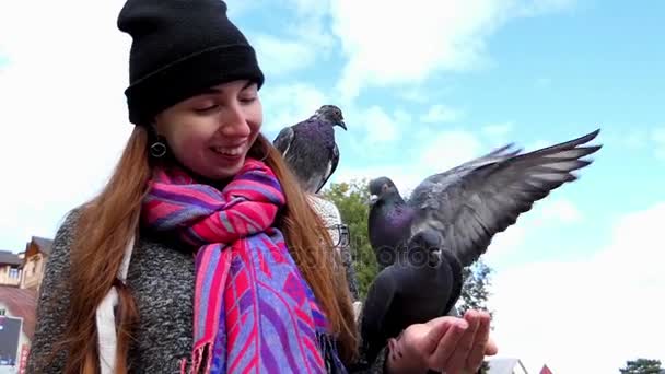 Una joven alimenta palomas de sus manos en slo-mo — Vídeos de Stock