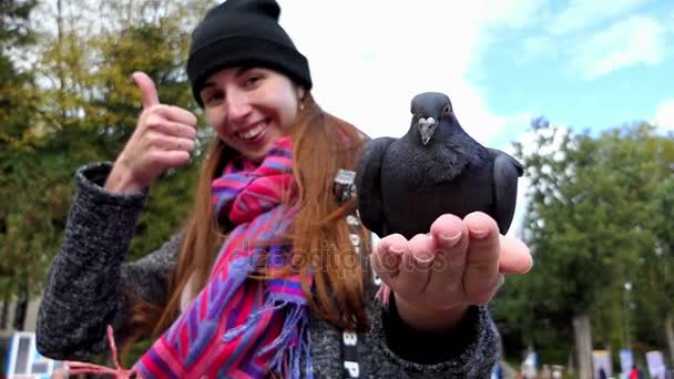 Gołąb jest podawany z dłoni uśmiechający się kobieta w slo-mo — Wideo stockowe