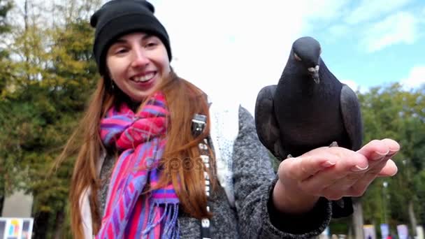 Gołąb jest podawany z dłoni wesoły Kobieta w slo-mo — Wideo stockowe