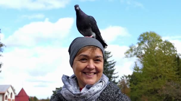 Счастливая женщина с серым голубем на голове в сло-мо — стоковое видео