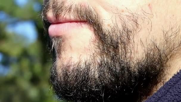 En närbild av ett brunt skägg för en ung man utomhus — Stockvideo