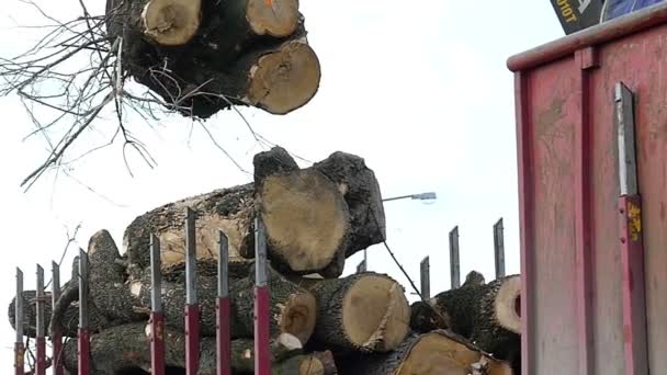 Een metalen hand brengt een logboek op een vrachtwagen en laadt het in slo-mo — Stockvideo