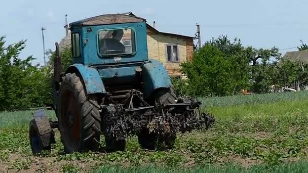 Ein Traktor eggt im Spätsommer das Agrofeld in einem Dorf — Stockvideo