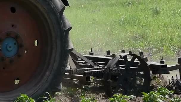 Un tractor traza un campo con una grada metálica a finales del verano — Vídeos de Stock