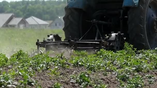 Un trattore coltiva un campo con alcune piante verdi a fine estate — Video Stock