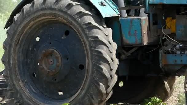 Laborioso tractor cultiva un campo con plantas verdes en verano — Vídeo de stock