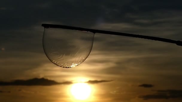 Muhteşem bir günbatımı slo-Mo, bir sopa üzerinde sallanan bir sabun köpüğü — Stok video
