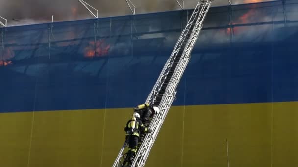 Dwóch strażaków wznoszenia wysokich schody odłożyć ogień. — Wideo stockowe