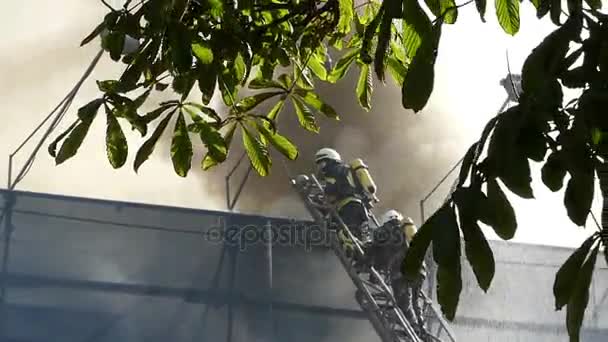 Чорний дим піднімає над будівлею влітку . — стокове відео