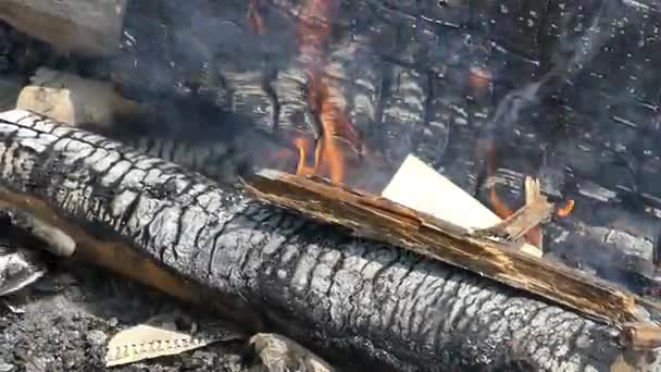 Wooden logs are in flame for shashlik. Metal stick stirs them. — Stock Video