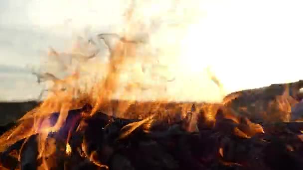 Uma chama de fogueira em um banco de lago em um dia ensolarado no verão — Vídeo de Stock