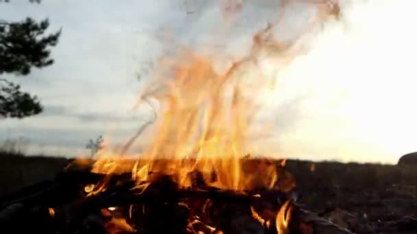 Feu de joie actif avec fourchettes dansantes de flamme et de fumée noire — Video