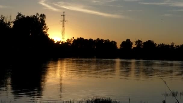 Un lac pittoresque avec des cannes vertes et des roseaux au coucher du soleil — Video