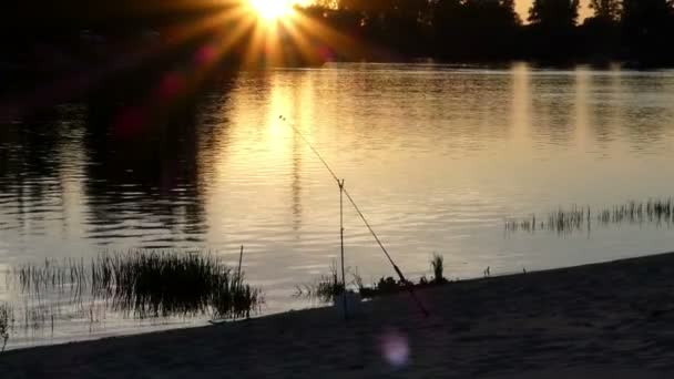 Un lac forestier avec une gorgée fixée pour la pêche au coucher du soleil en été — Video