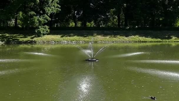 Una fuente con largos arroyos cayendo en un lago en verano en slo-mo — Vídeo de stock