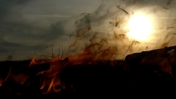 De sprankelende gele vorken van een kampvuur op een gazon bij zonsondergang in slow motion — Stockvideo