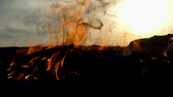 Los tenedores amarillos brillantes de una fogata en un césped al atardecer en cámara lenta — Vídeos de Stock