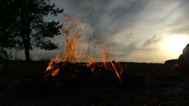 The dazzling yellow forks of a campfire on a lawn at sunset in slow motion — Stock Video