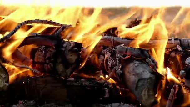 Um close-up de uma fogueira com garfos brilhantes de chama à noite em câmera lenta . — Vídeo de Stock