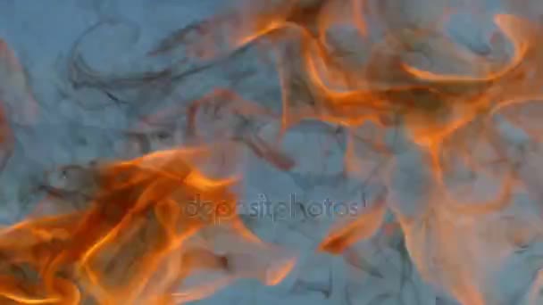 在日落时, 火焰覆盖着黑烟的叉子 — 图库视频影像